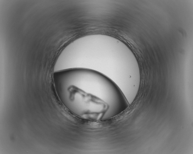 X0000112020325200908031047