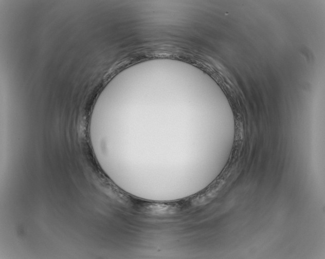 X0000112020326200908031047