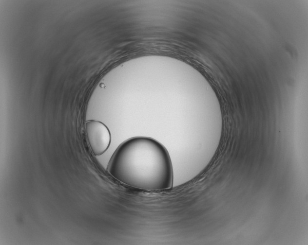 X0000112020327200908031047