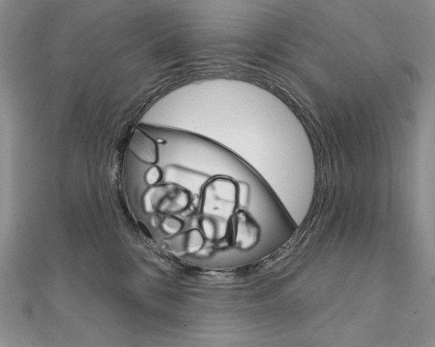 X0000112020328200908031047