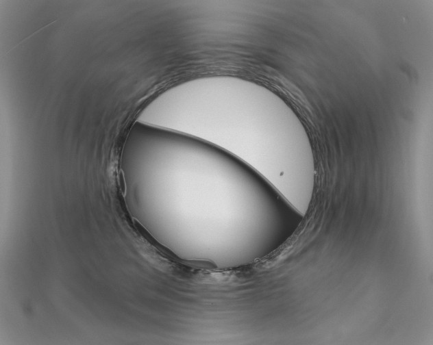 X0000112020329200908031047