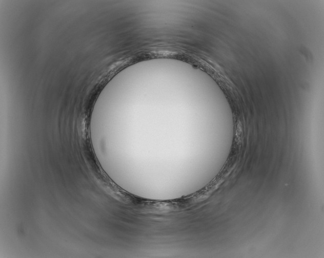 X0000112020330200908031047