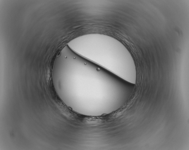 X0000112020331200908031047