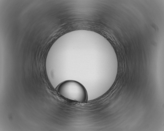 X0000112020332200908031047