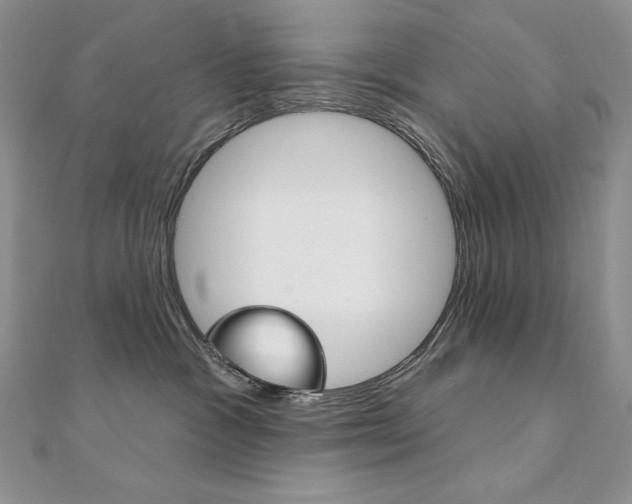 X0000112020333200908031046