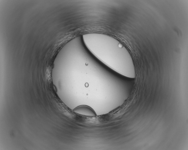 X0000112020335200908031046