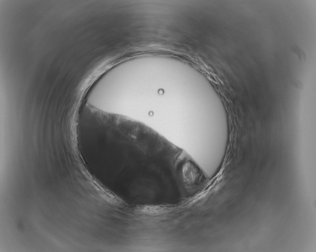 X0000112020341200908031046