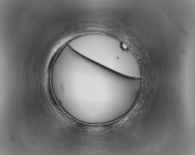 X0000112020342200908031046