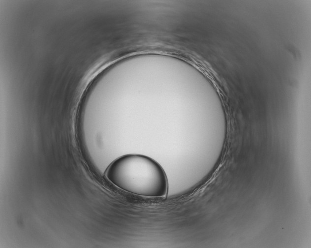 X0000112020344200908031046