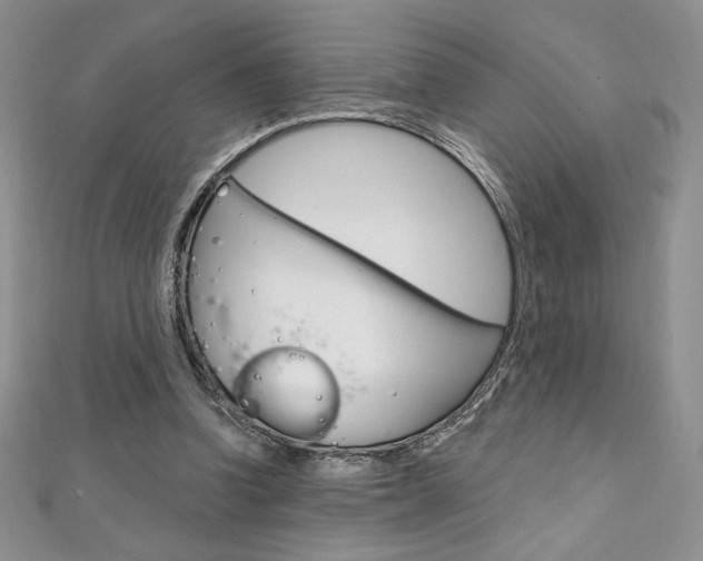 X0000112020346200908031046