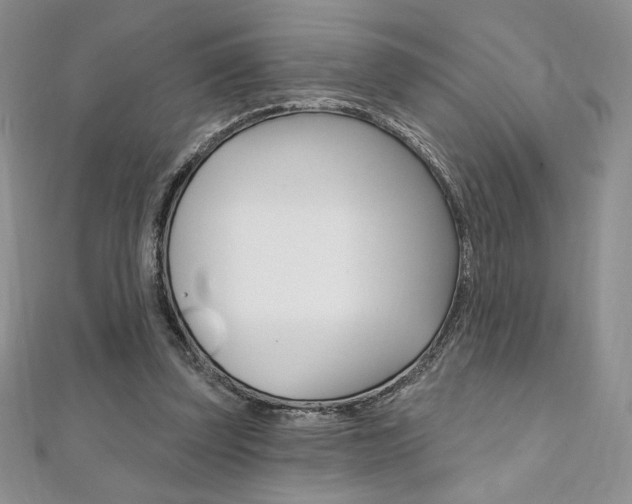 X0000112020347200908031046