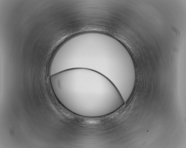 X0000112020352200908031046