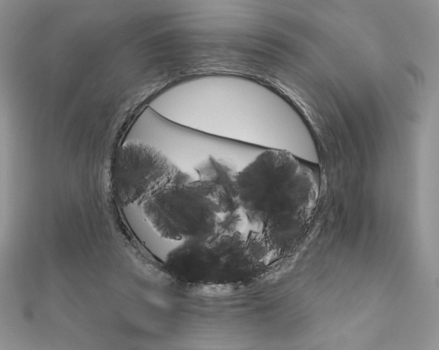 X0000112020353200908031046