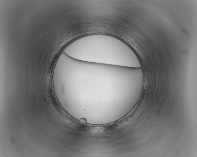 X0000112020355200908031046