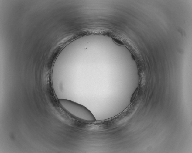 X0000112020356200908031046