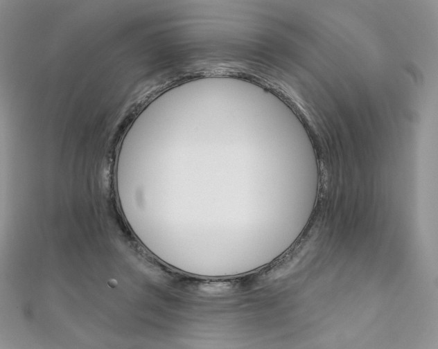 X0000112020357200908031046