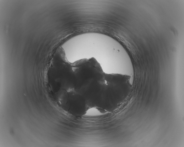 X0000112020359200908031046