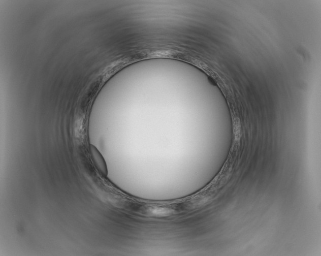 X0000112020360200908031046