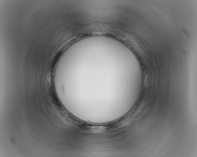 X0000112020363200908031046