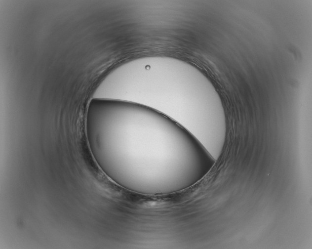 X0000112020364200908031046