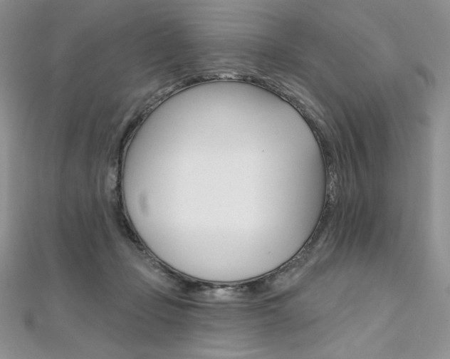 X0000112020365200908031046