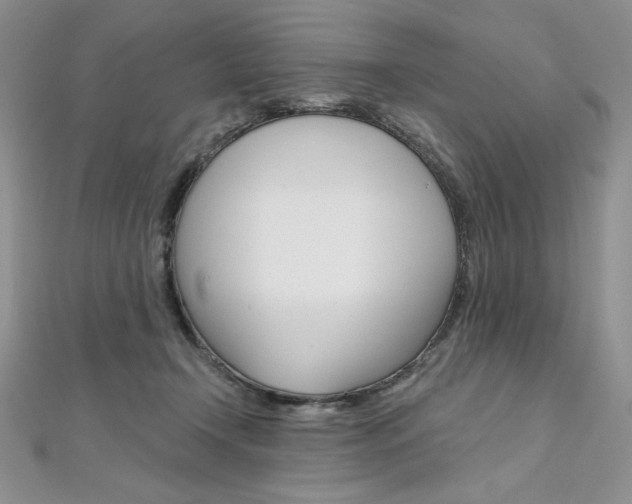X0000112020366200908031046