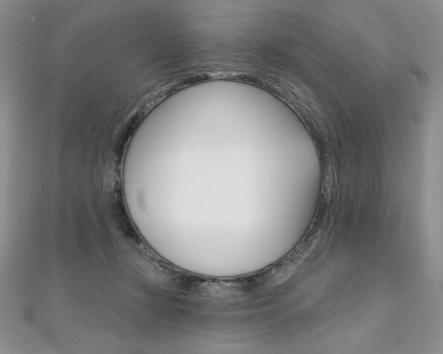 X0000112020367200908031046