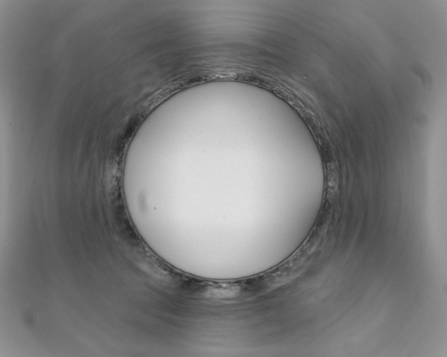 X0000112020369200908031046