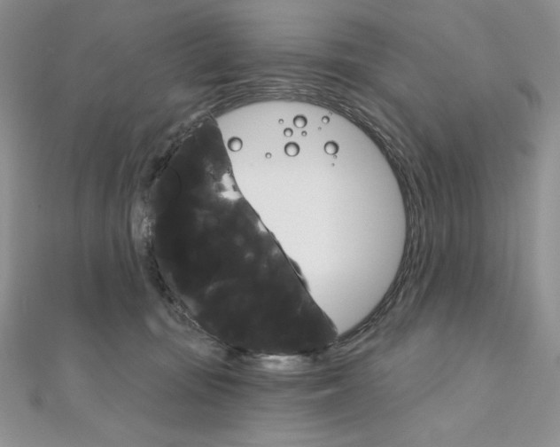 X0000112020371200908031046