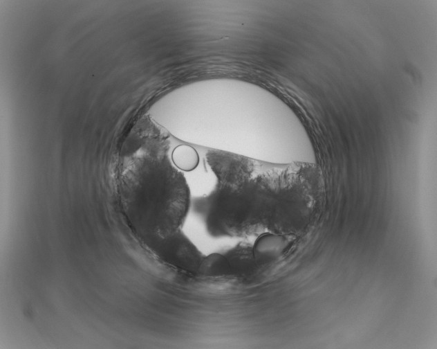 X0000112020373200908031046