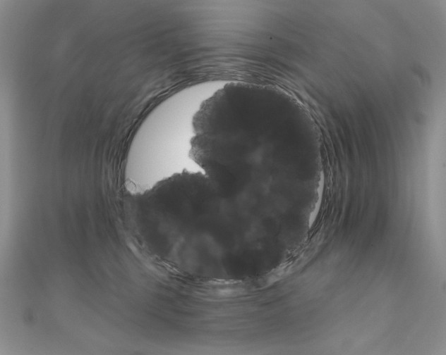 X0000112020375200908031046