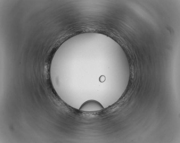 X0000112020378200908031046