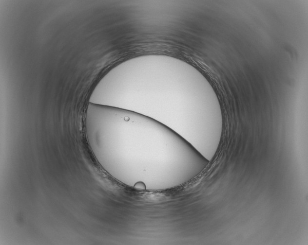 X0000112020379200908031046