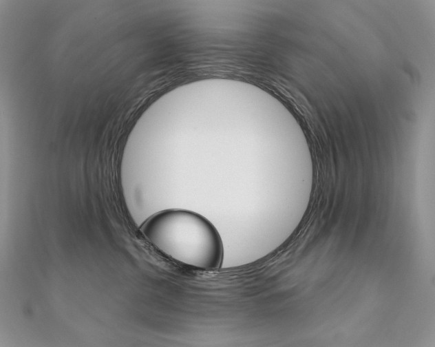 X0000112020380200908031046