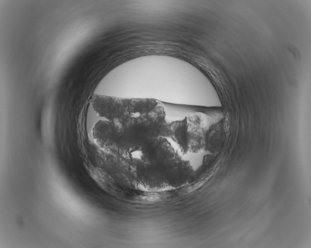 X0000112020381200908031046