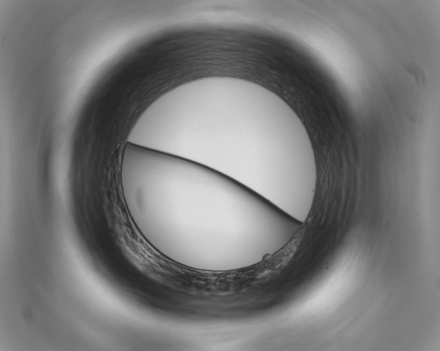 X0000112020383200908031046