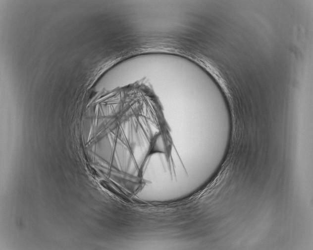 X0000112020385200908031046