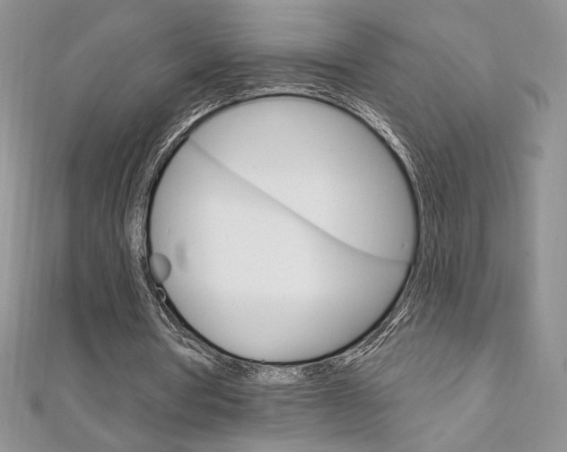 X0000112020386200908031046