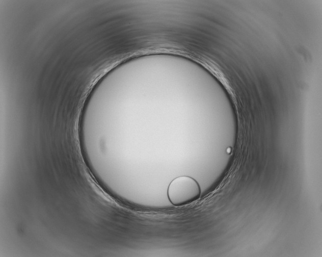 X0000112020389200908031046