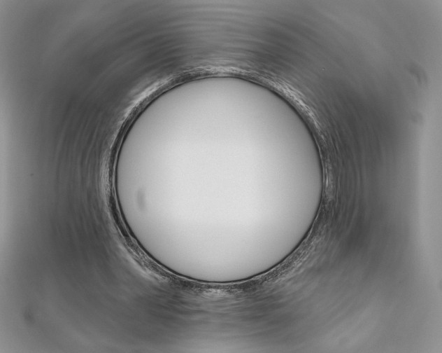 X0000112020390200908031046