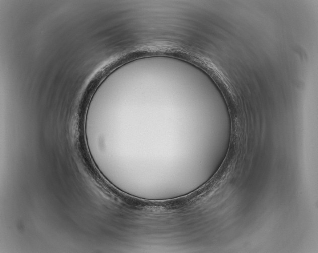 X0000112020392200908031046