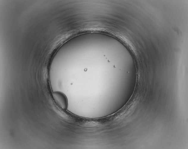 X0000112020397200908031046