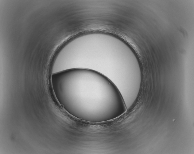 X0000112020399200908031046