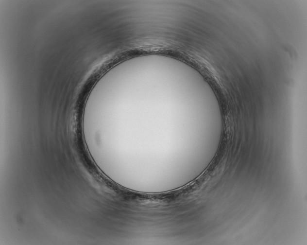 X0000112020400200908031046