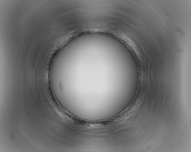 X0000112020401200908031046