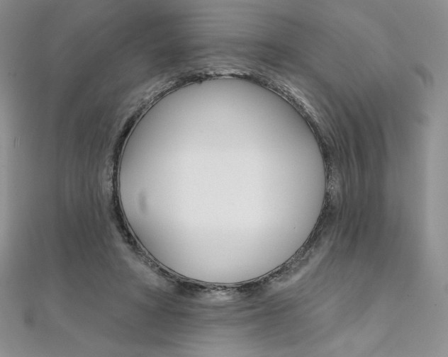 X0000112020402200908031046