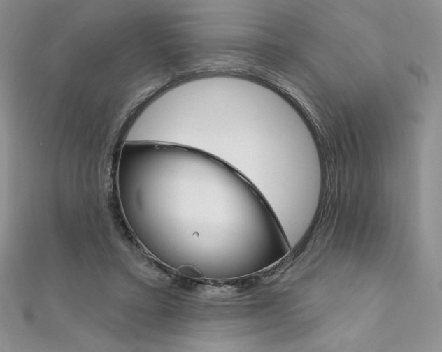X0000112020403200908031046