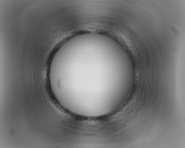 X0000112020404200908031046