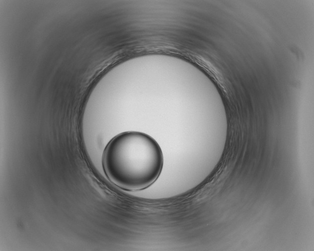 X0000112020405200908031046