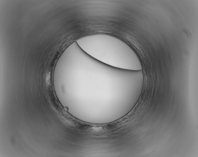 X0000112020406200908031046